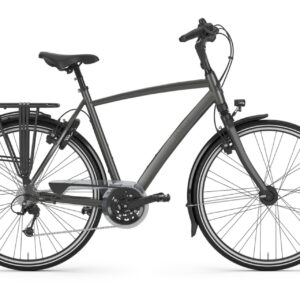 Gazelle Chamonix T30 - 28 Zoll - Diamant - 2023