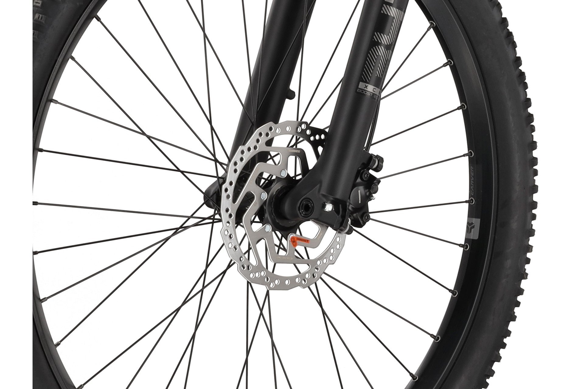 Carver Strict E.510 - 500 Wh - 29 Zoll - Diamant – Bild 2